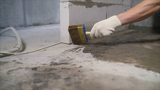 Top rated local Waterproofing specialists in Petersburg, VA